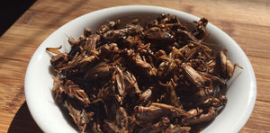 VitaBug Snack Crickets- Barbeque