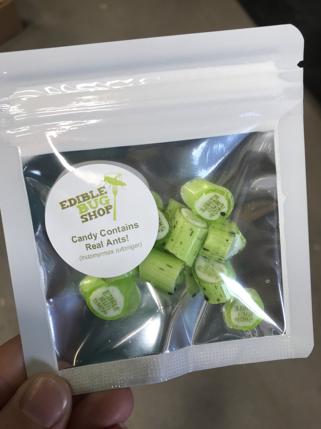 Bulk Insect Candy Ant candy 10g – Edible Bug Shop